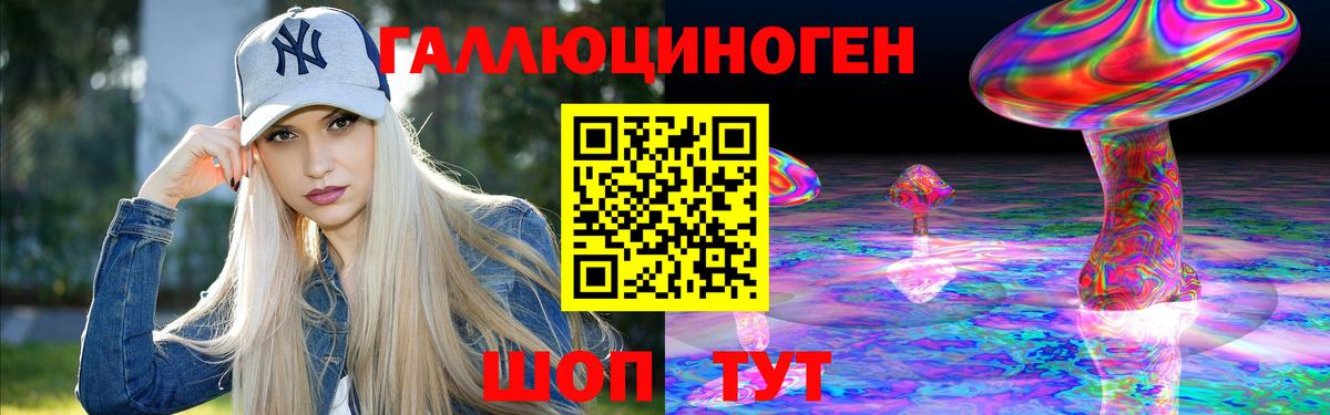 где найти   Галлюциногенные грибы MAGIC MUSHROOMS  Вход с VPN  Новокубанск 